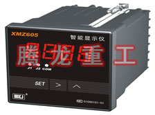 溫度表、數(shù)字顯示儀、濕度表