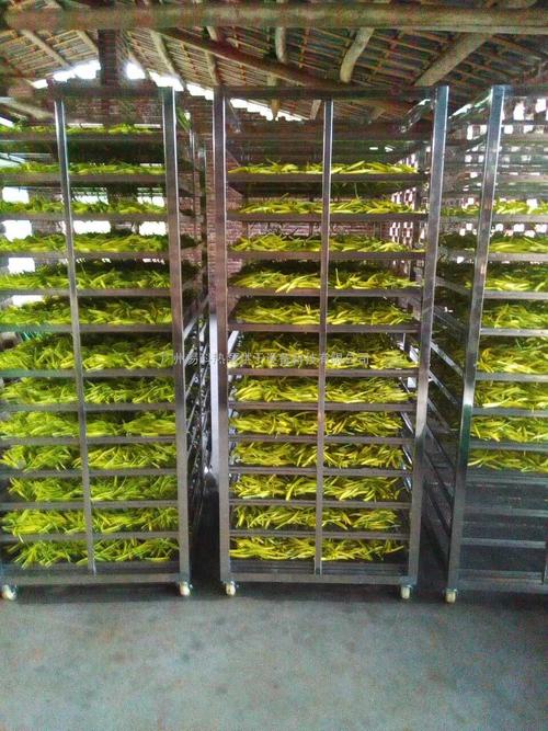 黃花菜烘干機、黃花菜烘干設備、黃花菜干燥機、黃花菜干燥設備、